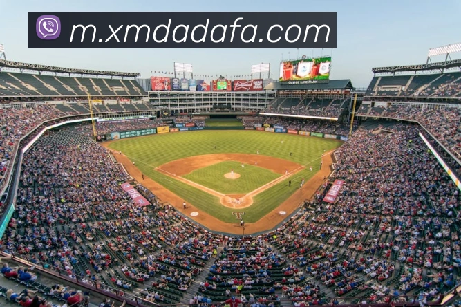 大发彩票平台生态图