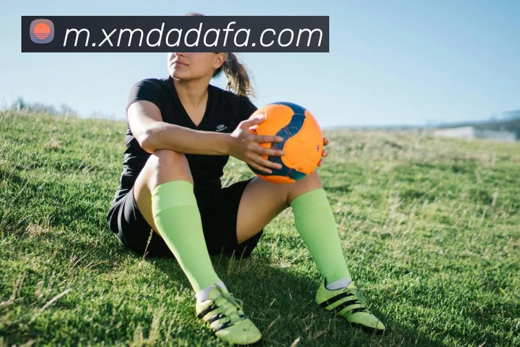 大发彩票APP 封面图